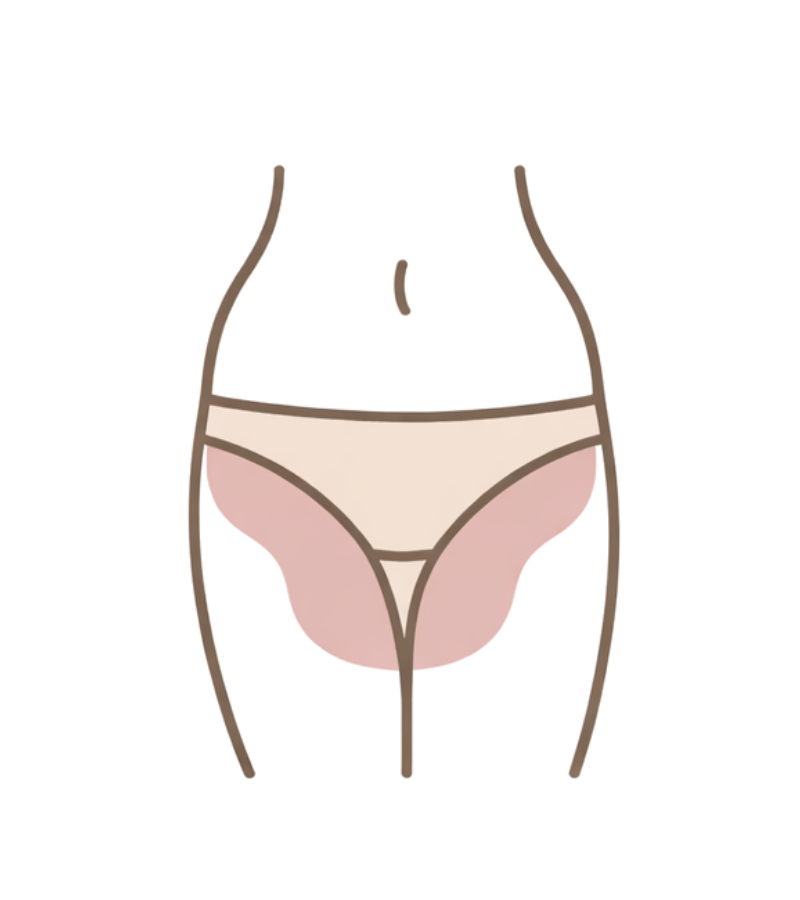 Bikini and inner thigh wax service area diagram
