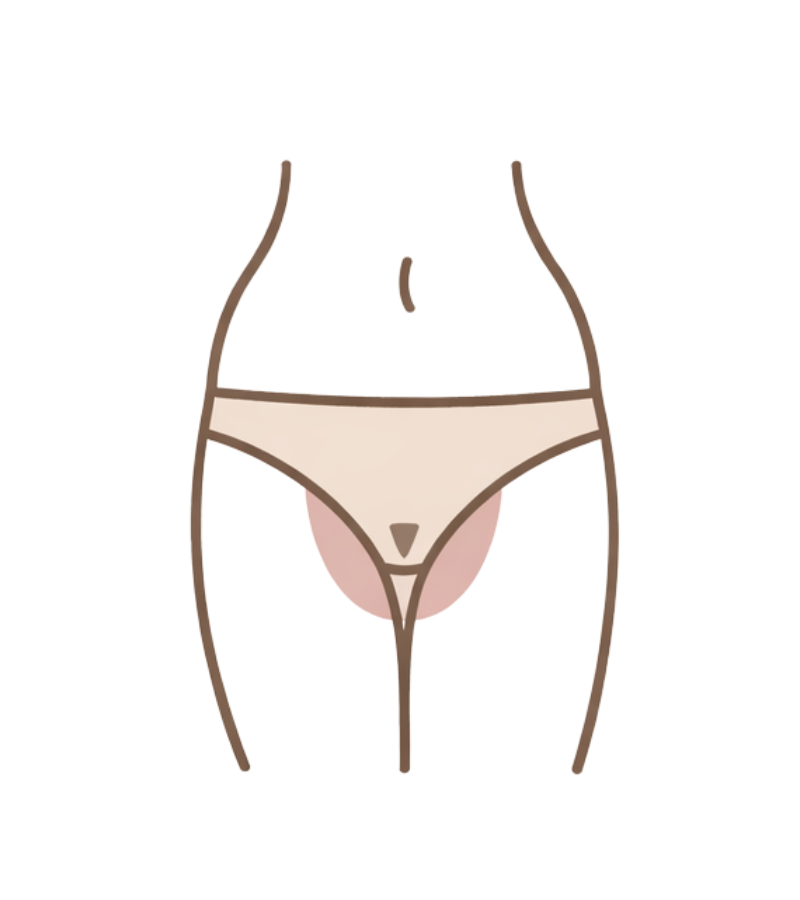 Brazilian wax service area diagram